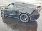 2023 Tesla Model Y Black vin: 7SAYGDEE3PF589568