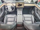 2023 Tesla Model Y Black vin: 7SAYGDEE3PF589568