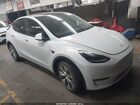 2023 Tesla Model Y   White vin: 7SAYGDEE3PF608085
