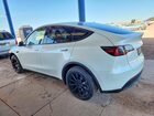2023 Tesla Model Y White vin: 7SAYGDEE3PF675916