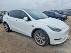 2023 Tesla Model Y White vin: 7SAYGDEE3PF814474