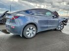 2023 Tesla Model Y Gray vin: 7SAYGDEE3PF905034