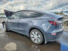 2023 Tesla Model Y Gray vin: 7SAYGDEE3PF905034