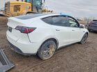2024 Tesla Model Y White vin: 7SAYGDEE3RF109676