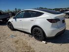 2023 Tesla Model Y White vin: 7SAYGDEE3SA370955