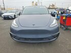 2023 Tesla Model Y Black vin: 7SAYGDEE4PA033251
