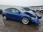 2023 Tesla Model Y Blue vin: 7SAYGDEE4PF667355