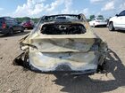 2025 Tesla Model Y Угольный vin: 7SAYGDEE4SF254635