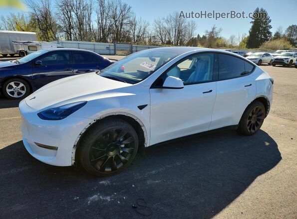 7SAYGDEE5RF002287 2024 TESLA MODEL Белый Передняя левая четверть