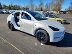 2024 Tesla Model Y Белый vin: 7SAYGDEE5RF002287