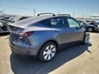 2023 Tesla Model Y Gray vin: 7SAYGDEE6PA151219
