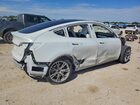 2023 Tesla Model Y White vin: 7SAYGDEE6PA162141