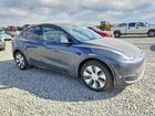2023 Tesla Model Y Gray vin: 7SAYGDEE6PA201956