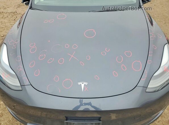 7SAYGDEE6RA221109 2024 TESLA MODEL Синий Вид задней части салона