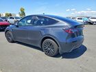 2024 Tesla Model Y Gray vin: 7SAYGDEE6RF041566