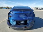 2025 Tesla Model Y Blue vin: 7SAYGDEE6SF305777