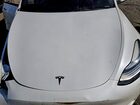 2023 Tesla Model Y White vin: 7SAYGDEE7PA129052