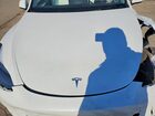 2024 Tesla Model Y Белый vin: 7SAYGDEE7RF117151