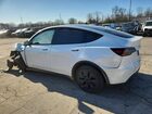 2024 Tesla Model Y Белый vin: 7SAYGDEE7RF117151