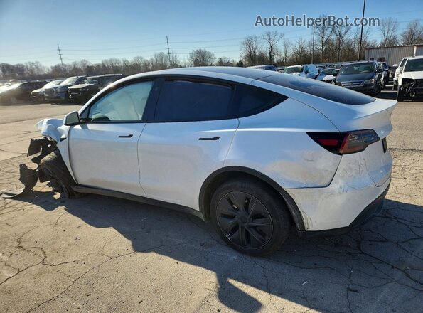 7SAYGDEE7RF117151 2024 TESLA MODEL Белый Задняя левая четверть