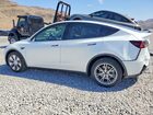 2023 Tesla Model Y White vin: 7SAYGDEE8PA097762