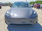 2023 Tesla Model Y Gray vin: 7SAYGDEE8PA202591