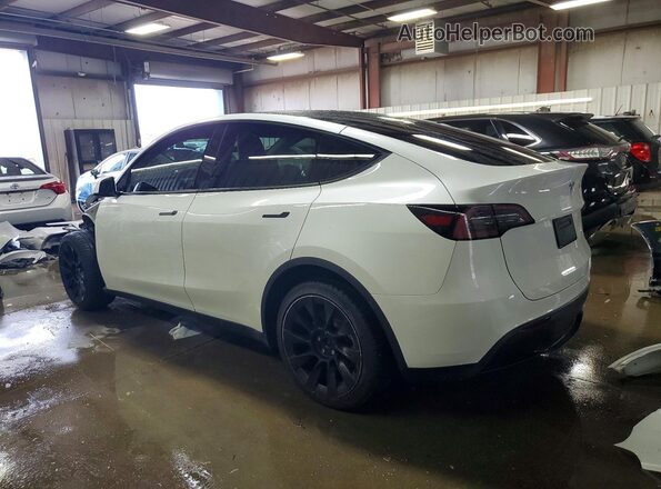 7SAYGDEE9PF807979 2023 TESLA MODEL White Tył lewy