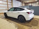 2025 Tesla Model Y Белый vin: 7SAYGDEE9SF223011