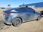 2025 Tesla Model Y Gray vin: 7SAYGDEE9SF300007