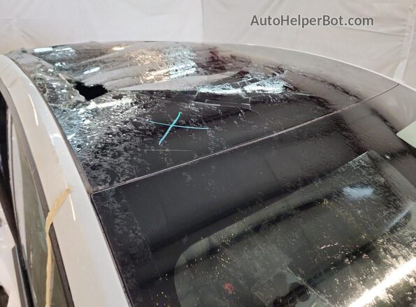 7SAYGDEEXRA307412 2024 TESLA MODEL Белый 