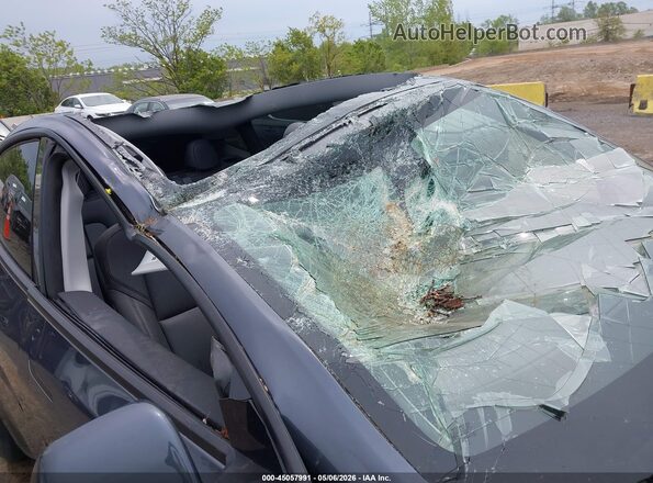 7SAYGDEF0PA048984 2023 TESLA MODEL Y Синий Вид спереди
