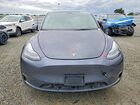 2022 Tesla Model Y Gray vin: 7SAYGDEF2NF404092