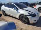 2024 Tesla Model Y White vin: 7SAYGDEF3RF027908