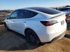 2022 Tesla Model Y Белый vin: 7SAYGDEF4NF464021