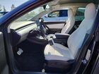 2022 Tesla Model Y Gray vin: 7SAYGDEF7NF379772