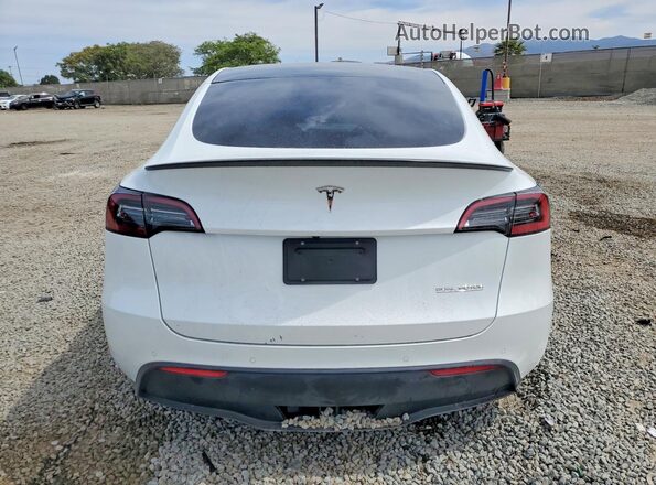 7SAYGDEF7NF486532 2022 TESLA MODEL White Вид ззаду