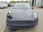 2024 Tesla Model Y Gray vin: 7SAYGDEF7RF085780
