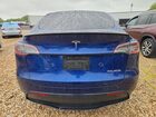 2025 Tesla Model Y Blue vin: 7SAYGDEF7SA342679