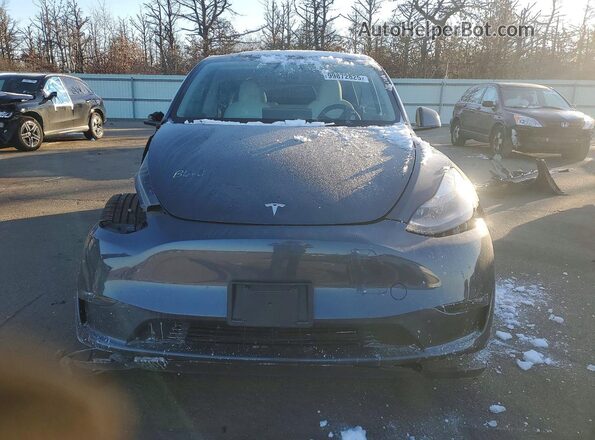 7SAYGDEF9PF860268 2023 TESLA MODEL Gray Vista frontal