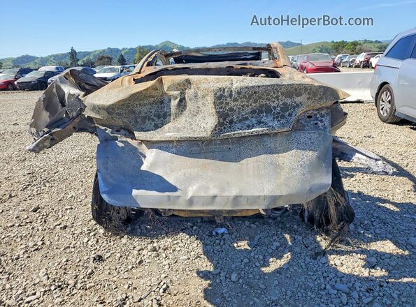 7SAYGDEFXRF080346 2024 TESLA MODEL Burn Вид ззаду