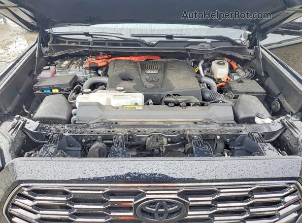 7SVAAABA6RX028151 2024 TOYOTA SEQUOIA Black Engine compartment view