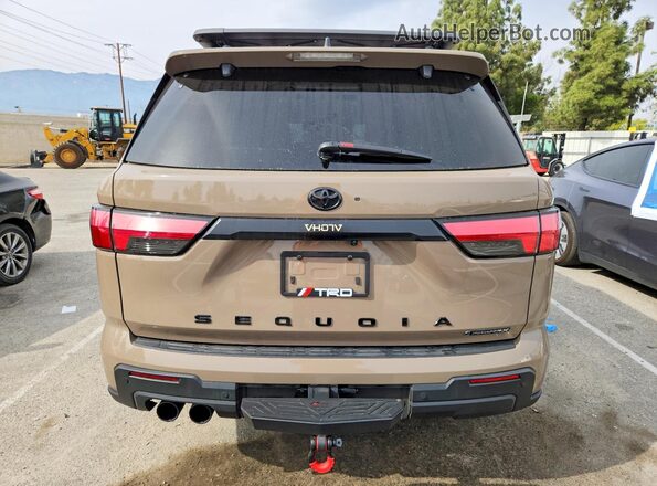 7SVAAABA7SX053727 2025 TOYOTA SEQUOIA Tan Widok z tyłu