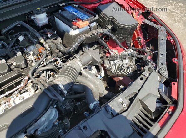 1HGCY1F24SA019752 2025 HONDA ACCORD Red Widok naklejki z numerem VIN
