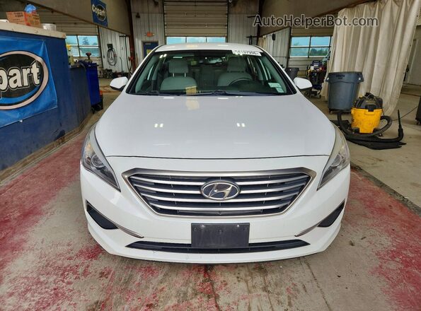5NPE24AF5GH364597 2016 HYUNDAI SONATA Белый Вид сзади