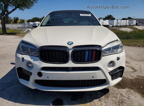 5UXKU2C56G0N82808 2016 BMW X6 Белый Вид сзади