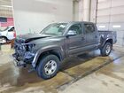 2020 Toyota Tacoma Trd Sport Gray vin: 3TMDZ5BN4LM090011