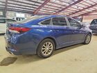 2019 Hyundai Sonata Se Blue vin: 5NPE24AF8KH775193