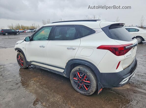 KNDETCA24P7400062 2023 KIA SELTOS Белый Задняя правая четверть
