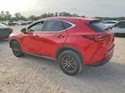2024 Lexus Nx 250 Base Красный vin: 2T2ADCAZ0RC007052
