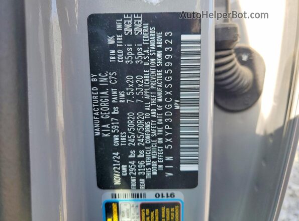5XYP3DGCXSG599323 2025 KIA TELLURIDE Серый Панорамный вид салона 360°